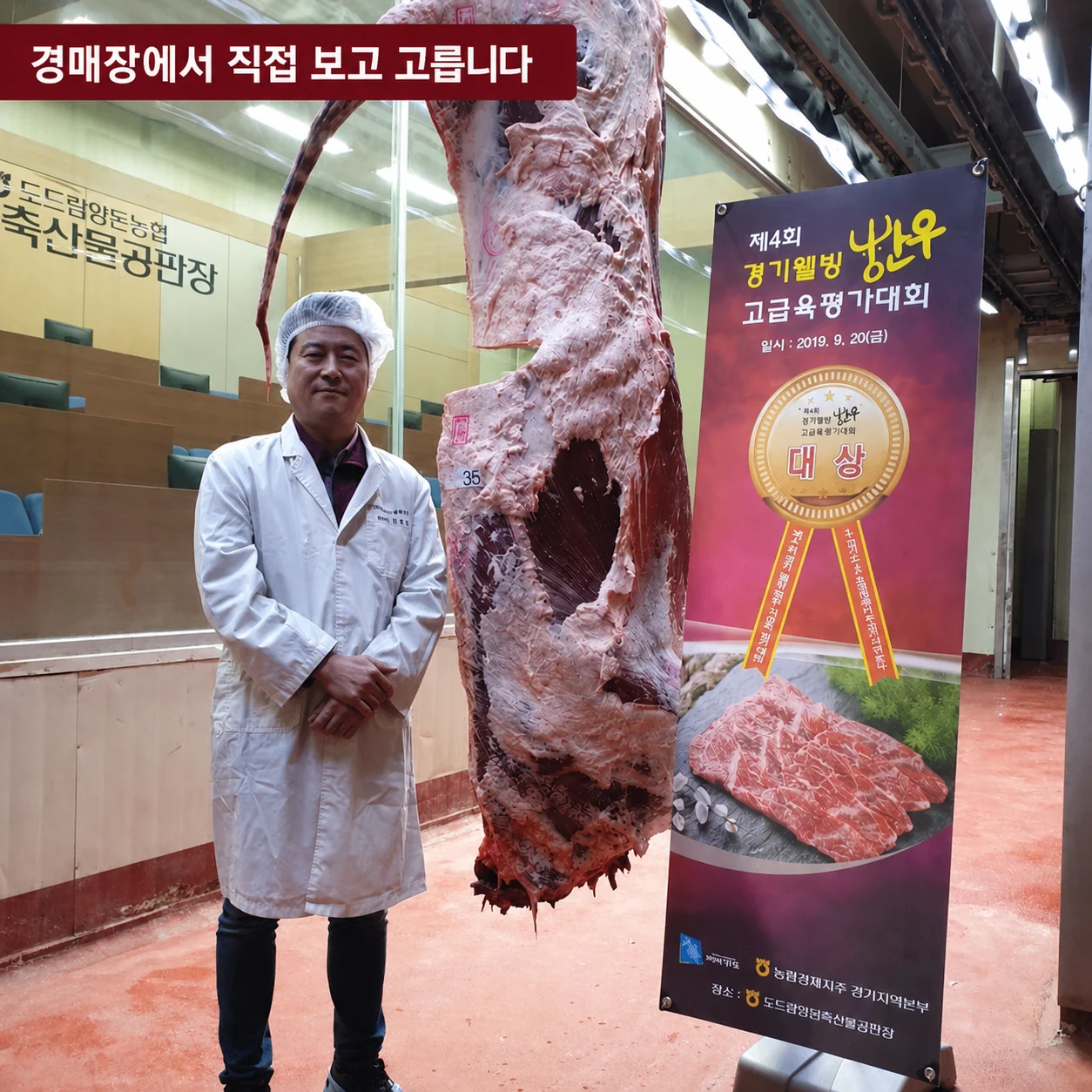 경매장에서 직접 보고 고르는 현장