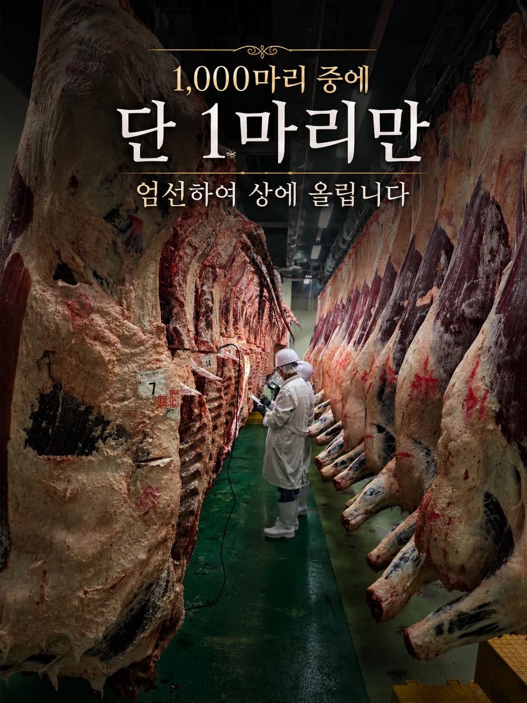 1,000마리 중 단 1마리 선별
